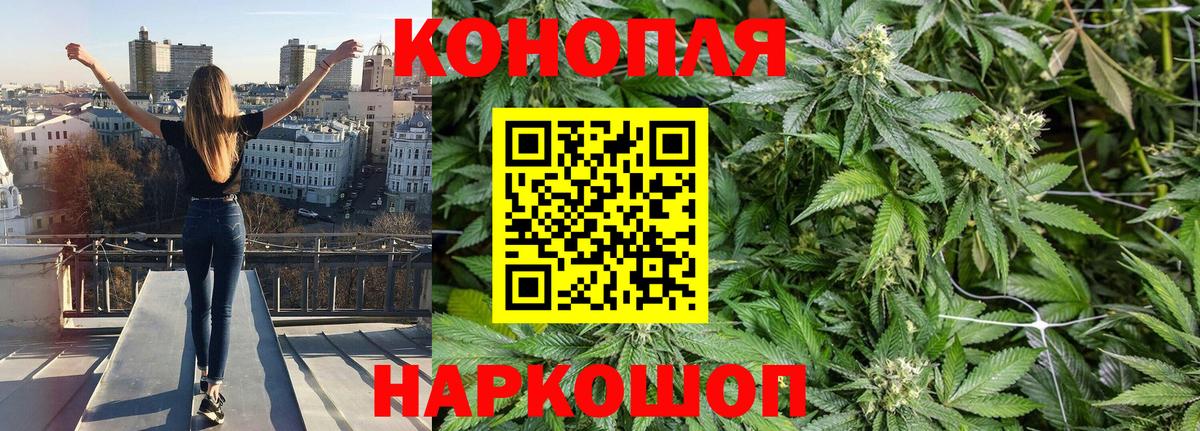 Бошки Шишки план Уссурийск
